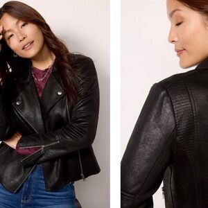 EverEve Marten Moto Jacket